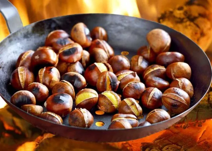 Hạt dẻ Trùng Khánh 